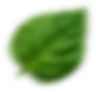 shape shape